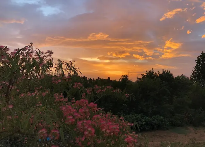 Apartamento Auberge Gekko *